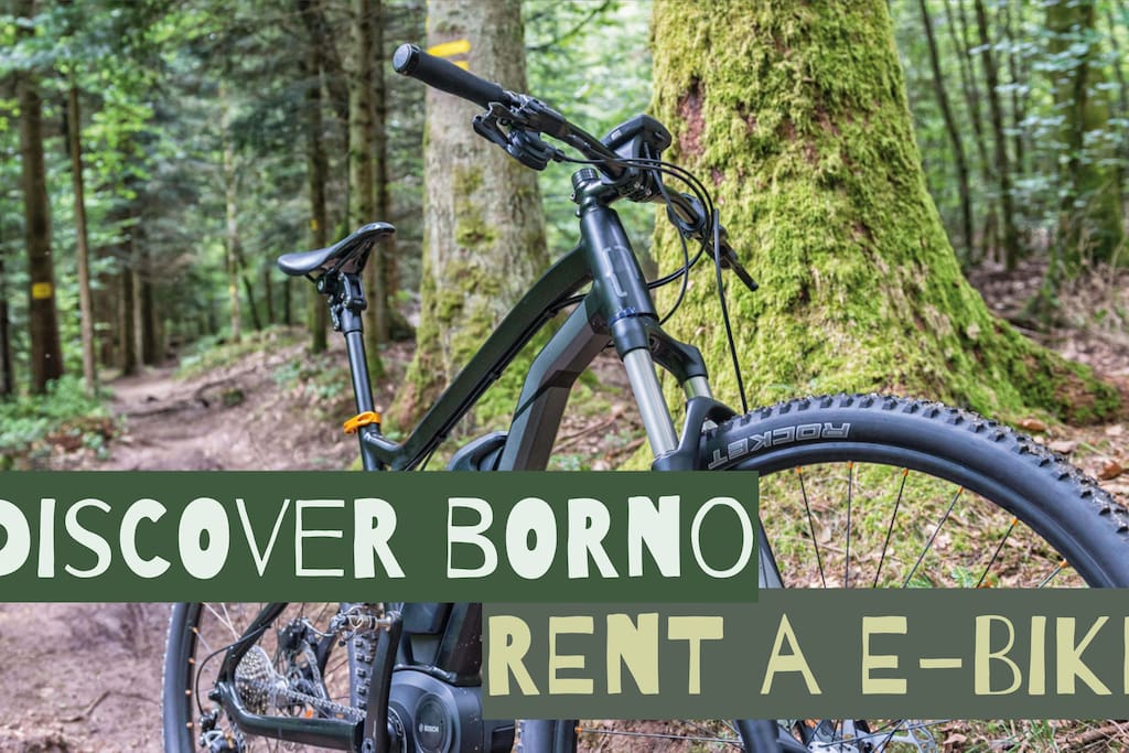 Noleggia una e-bike! Chiedici come