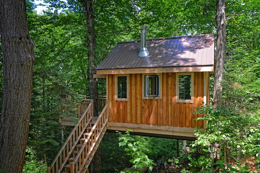Treehouse #7