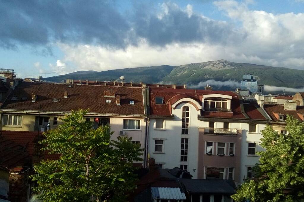 Terrace view