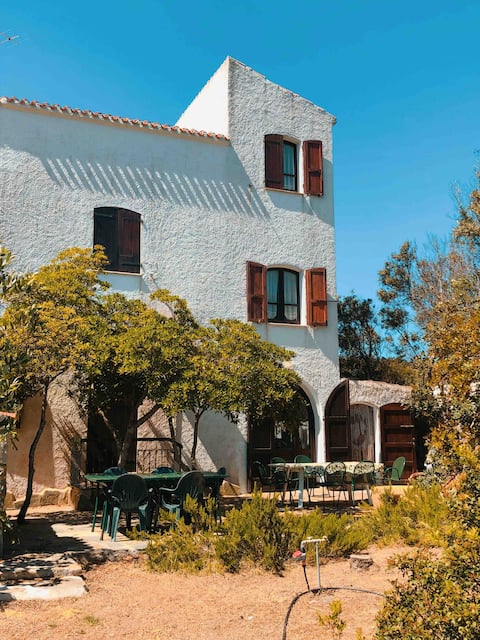 Bouganvillee and Coulungiones (IUN code: R1528)