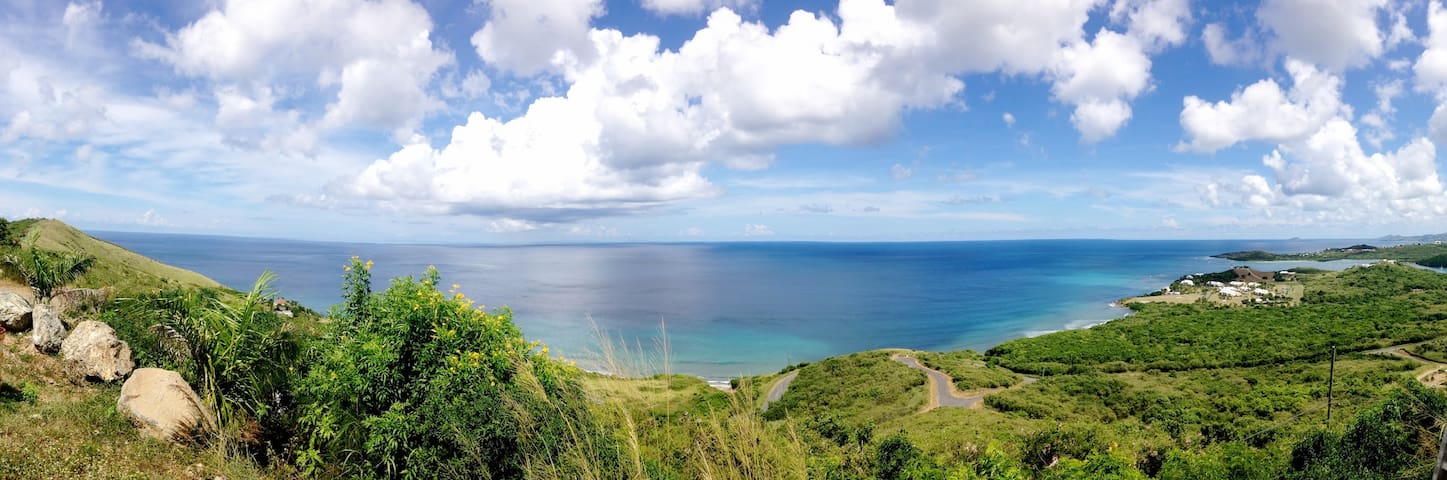 Frigates View