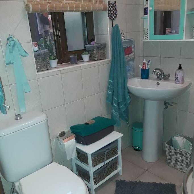 A private bathroom with shower, toilet and sink.