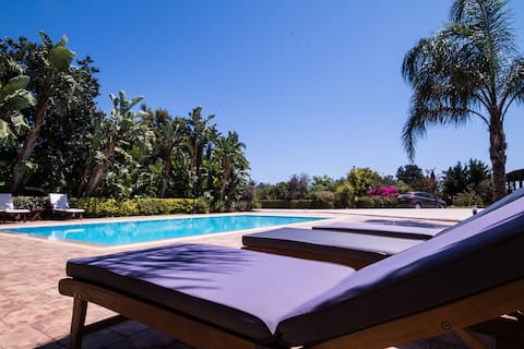 Modern luxurious garden villa