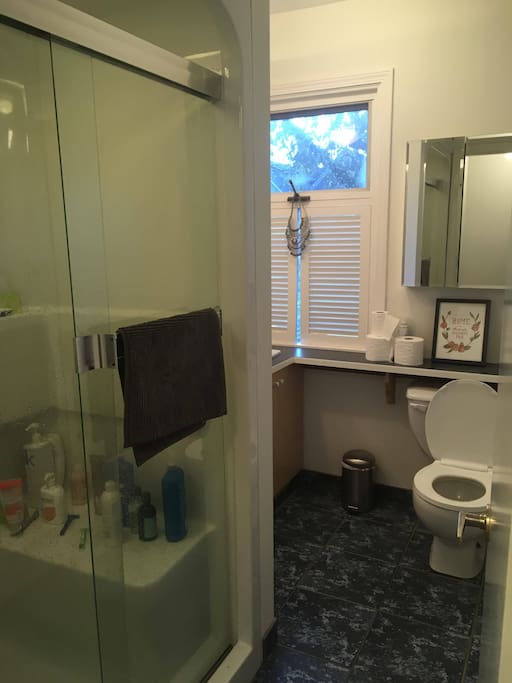 Shared bathroom with single person who lives here. Shower with seat, large mirrors.