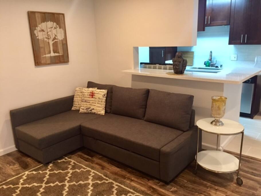very comfy pull out sofa- turns into queen bed