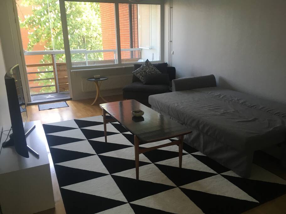 Living room with bed sofa opened