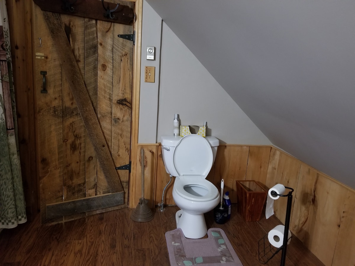 The ensuite bathroom features a toilet positioned against a wooden wall, complemented by rustic decor. A small wastebasket and a toilet paper holder with rolls are visible nearby. The space is illuminated by natural light reflecting off the wooden surfaces.