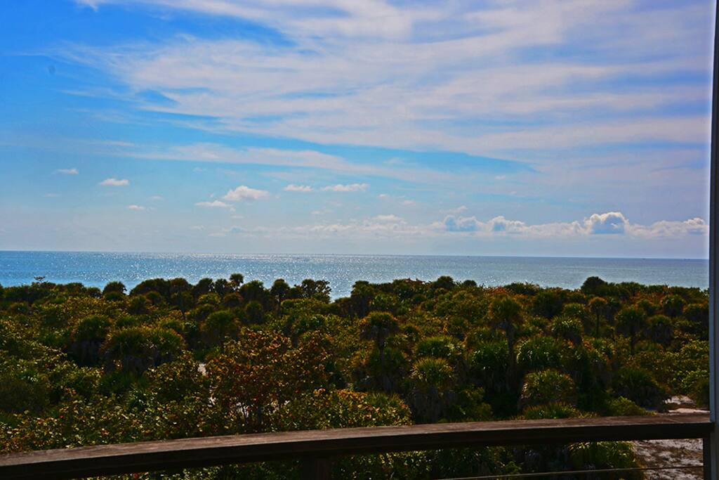 Patio View
