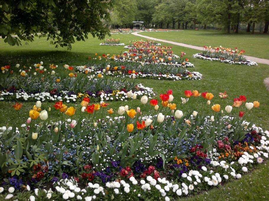 Splendour of the colours of spring in Dahliengarten