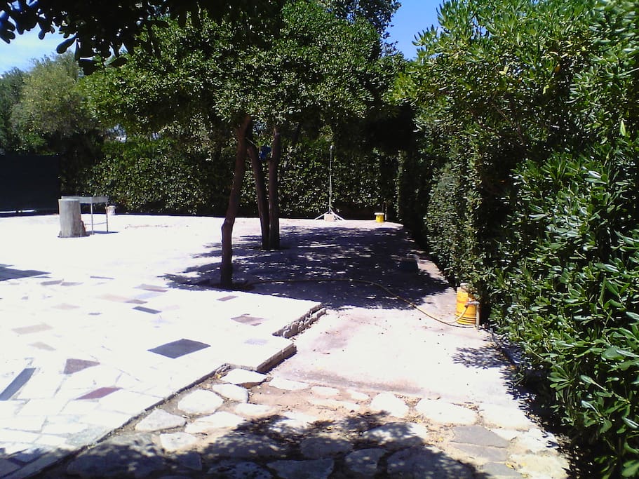 giardino pavimentato e alberato