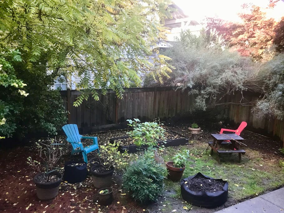 Shared pet-friendly back yard