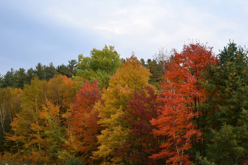 October along the road