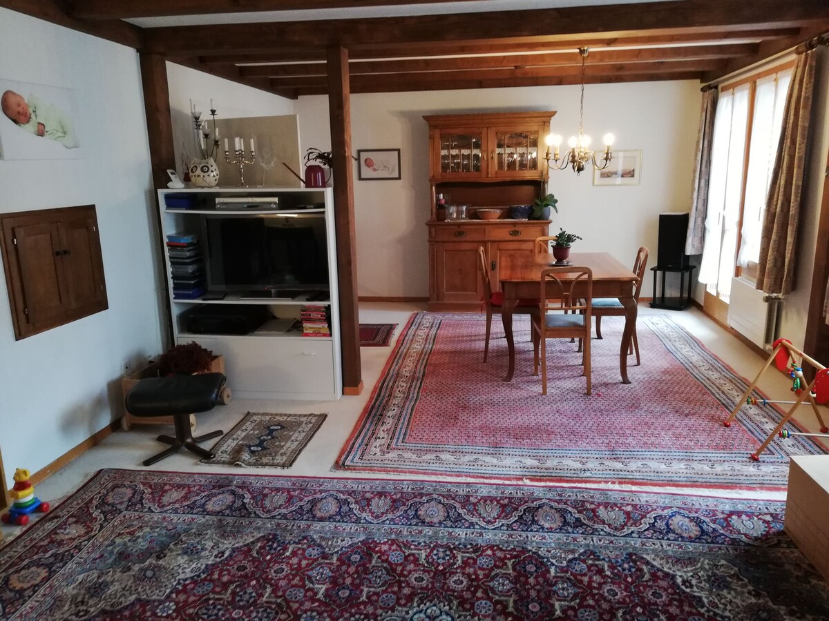Top performing Airbnb: Bright, child-friendly apartment in the village center in Zweisimmen