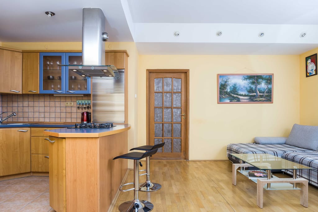 Living room and kitchenette