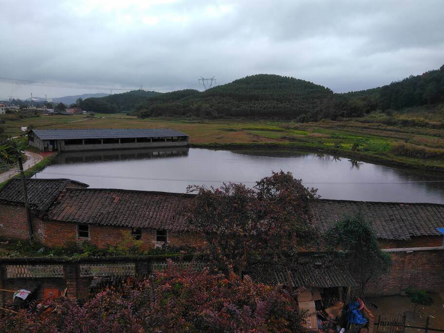 池塘边