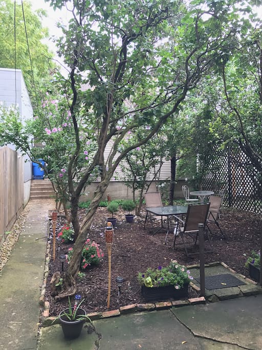 Part of Backyard area full of flowering trees