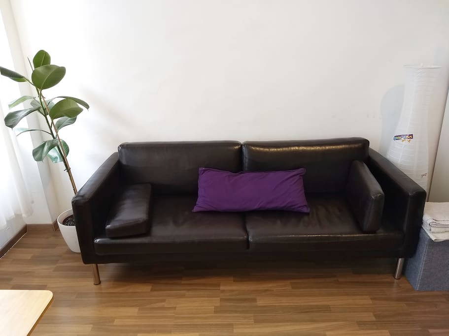 Leather couch. It is very easy to disassemble the pillows to get a good bed feeling.