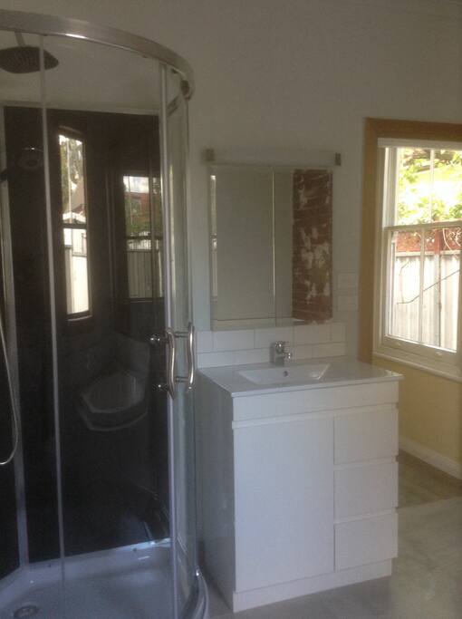 Shower with multiple jet options and vanity in bathroom
