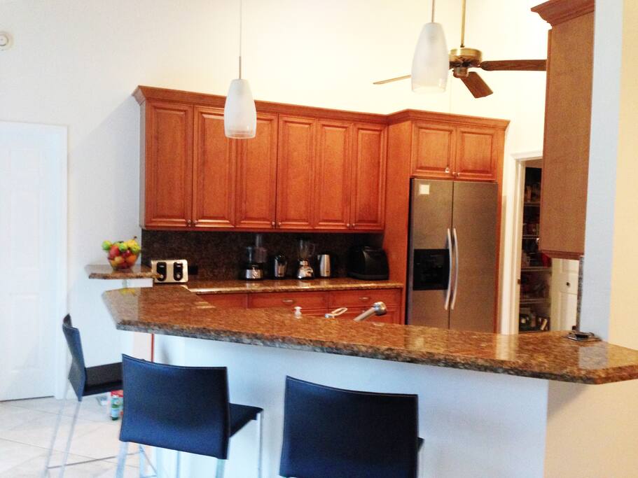Gourmet kitchen