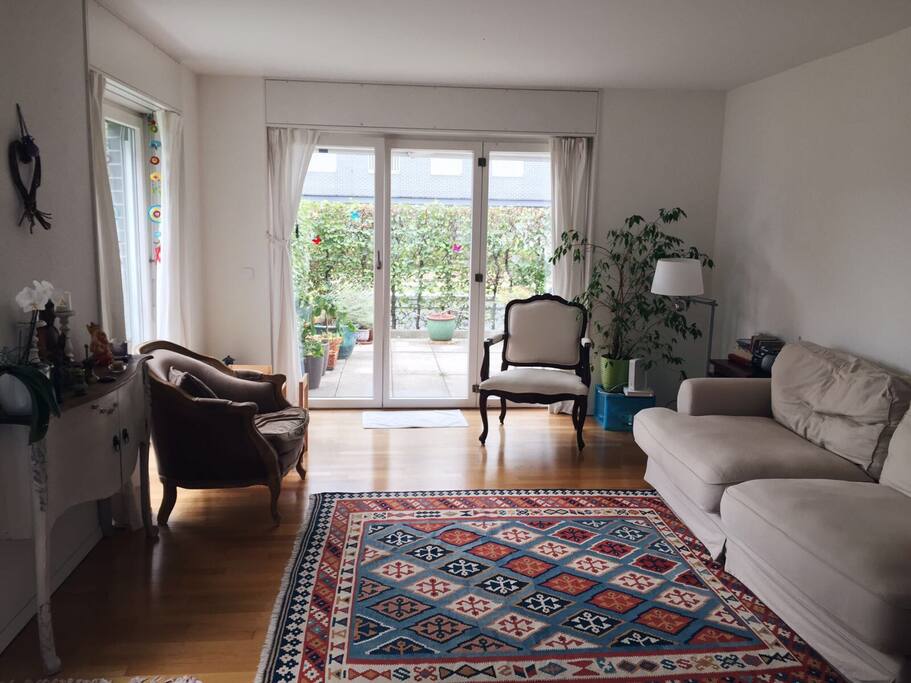 View from the living room into the terrace