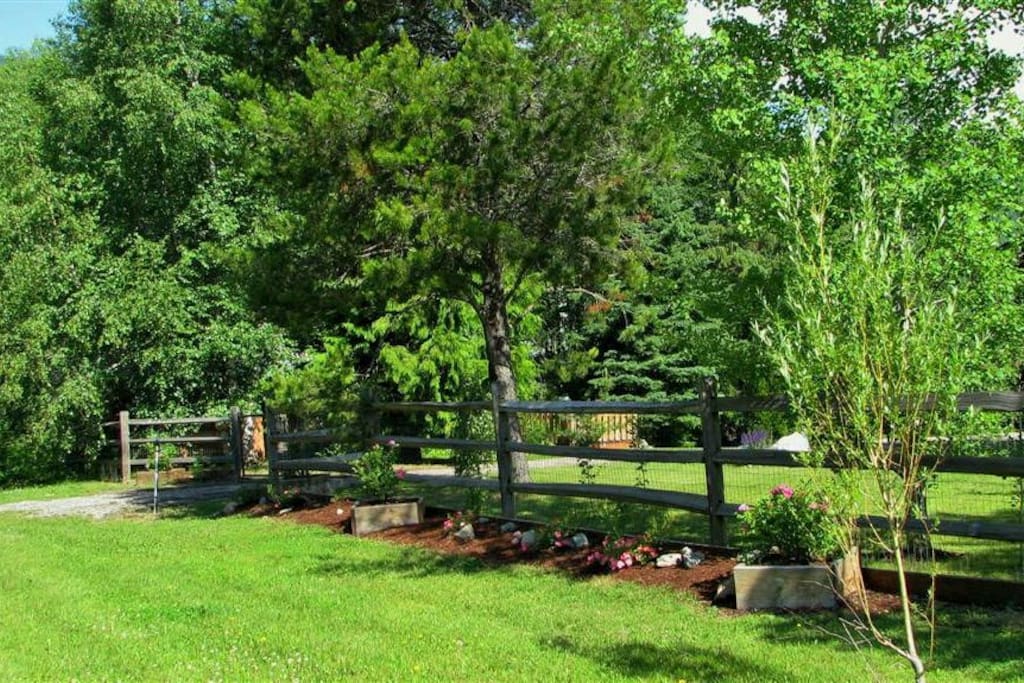 Street view of the front yard.