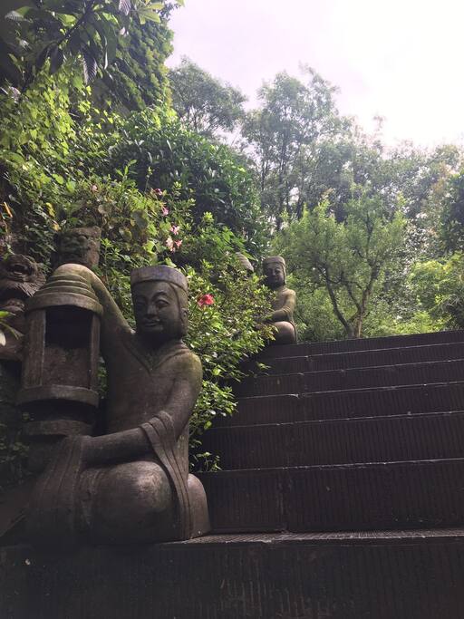 大门口通道景致