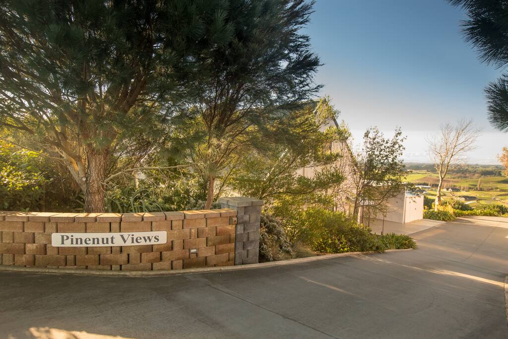 Welcome to Pinenut Views!