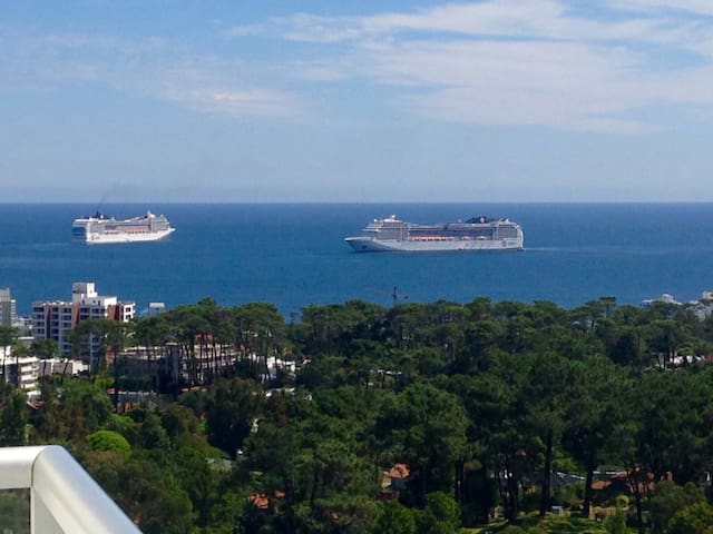 Punta del Este, Nuevo, Vista al mar