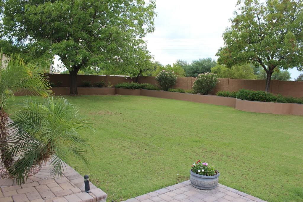 Backyard