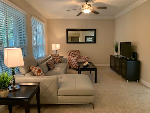 Top Airbnb: ⭐️Lxy Apt near Medical Center NRG Stadium Rice in Braeswood