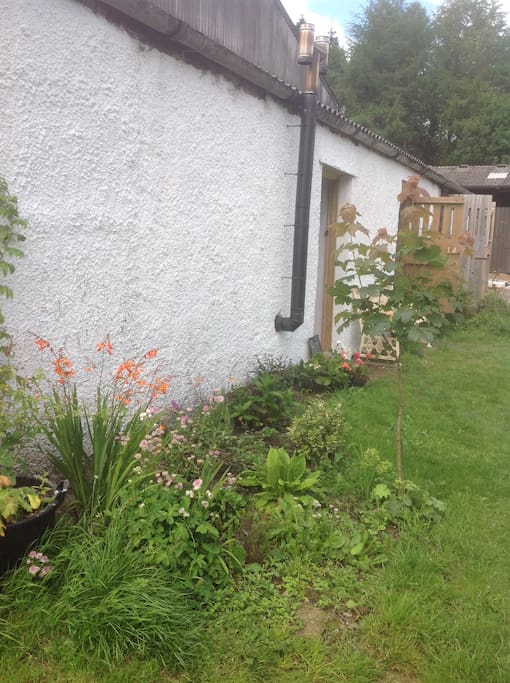 Bunk house garden