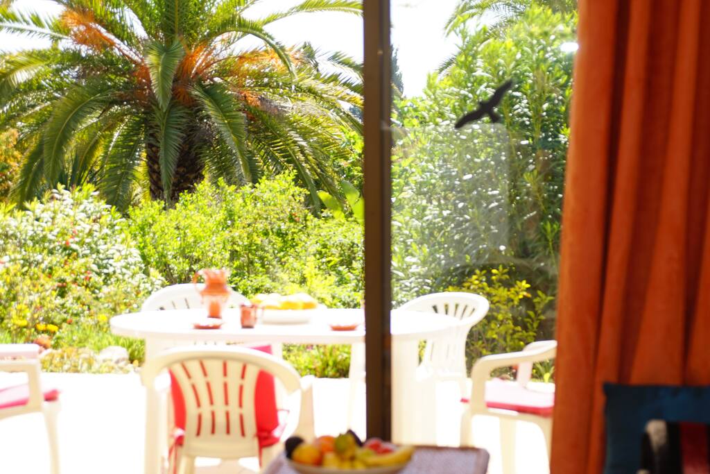 Terrasse Apartment Folha
