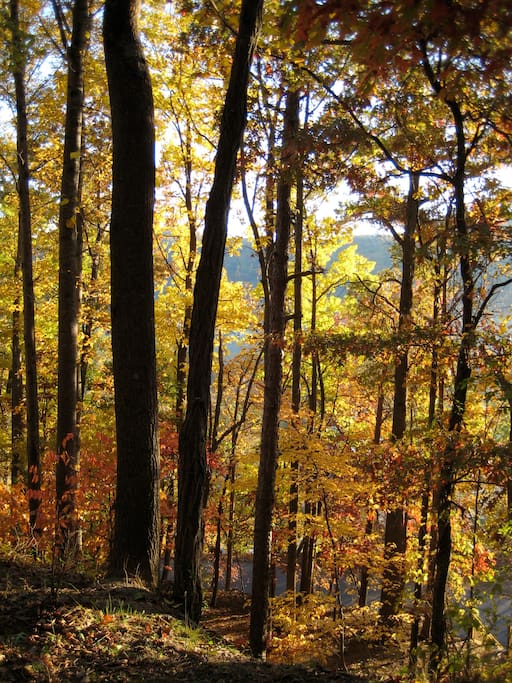 Beaucatcher Mountain