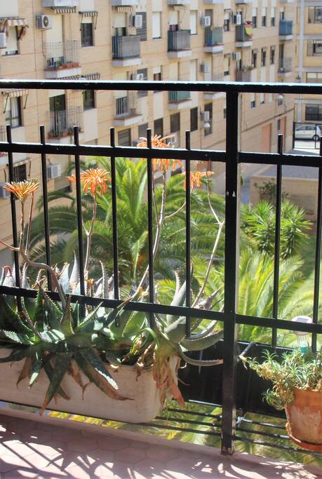 balcony with open view to a green zone.