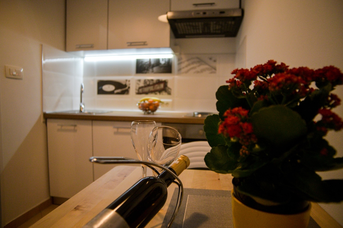 A modern kitchenette is visible with white cabinetry and a sleek countertop. A dining table is set with two glasses and a bottle of wine, while a potted plant adds a touch of greenery. A bowl of fruit sits in the background, enhancing the inviting setting.