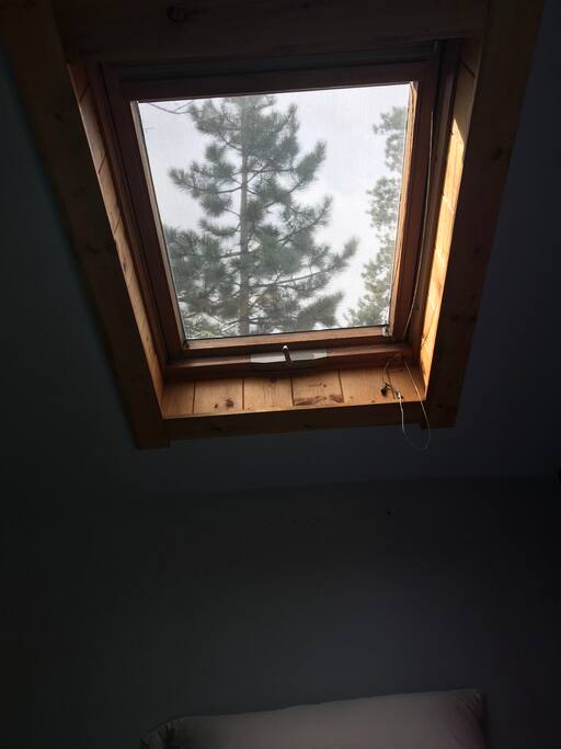 Skylight above bed. Great for star/meteor watching