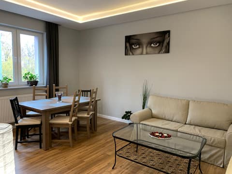 Gray apartment 50 m2