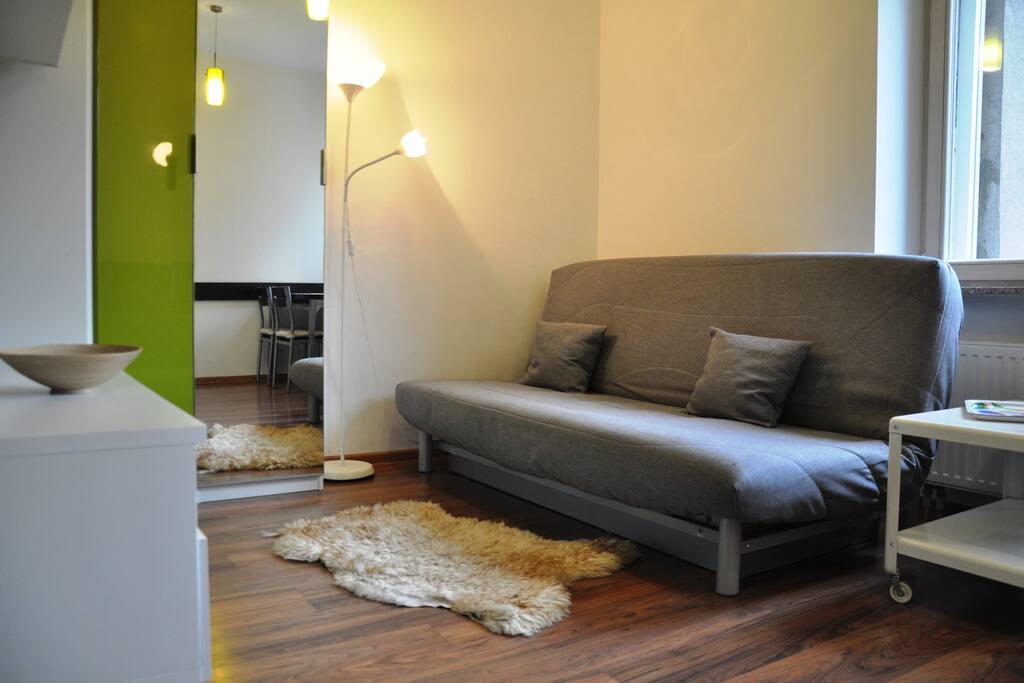 living room/ bed room