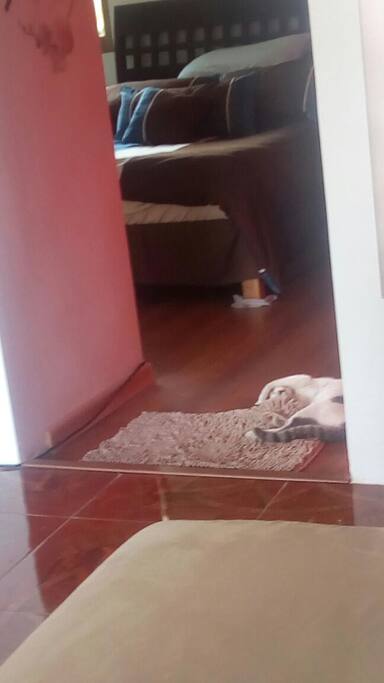 Recamara