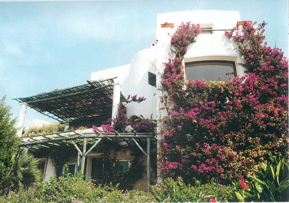 the house seen from below
