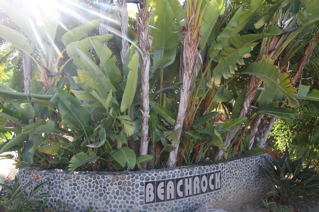 Welcome to Beach Rock, where you can unwind in our tropical paradise.