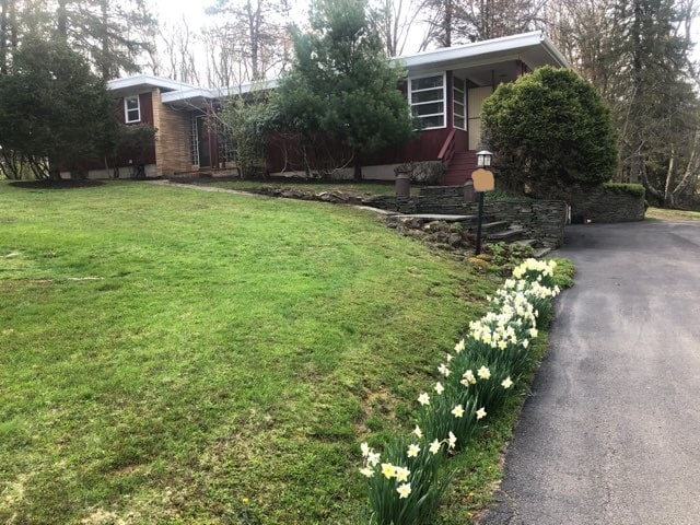 Peaceful, MidCentury Delight, Walk to Town Houses for Rent in