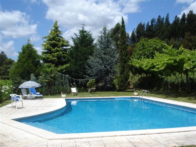 A serene pool area is surrounded by lush greenery, including tall coniferous trees and a grapevine. Comfortable lounge chairs and an umbrella are positioned near the water, which reflects the clear blue sky, inviting relaxation and enjoyment in nature.
