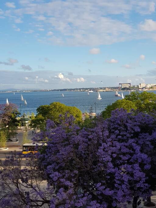 Vista de Rio, directa do quarto e da sala