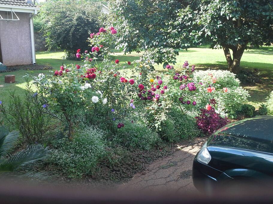 Smell the roses