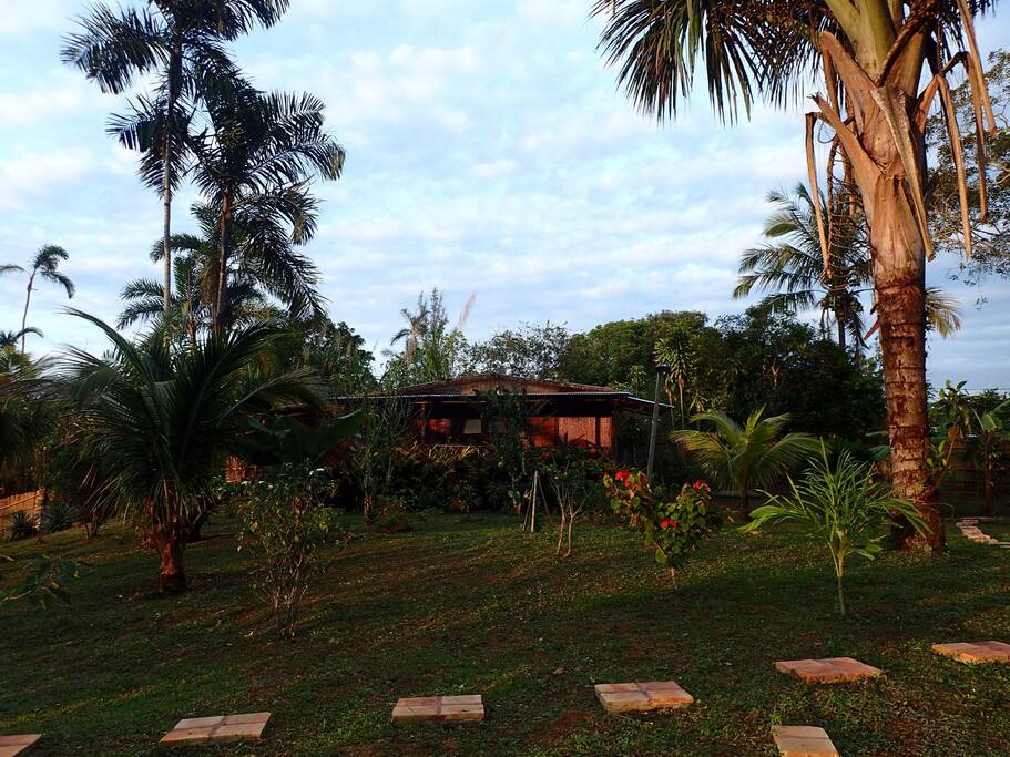 Le bungalow vu depuis le jardin