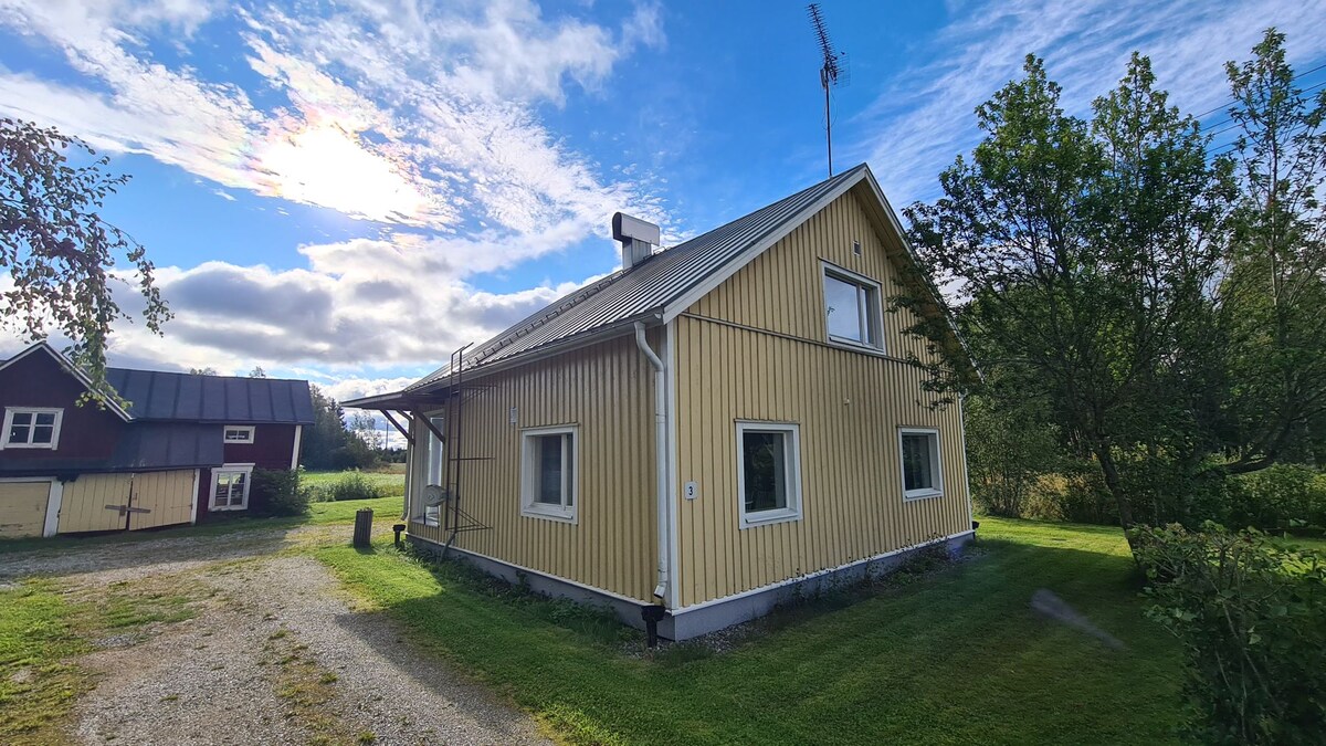 A two-story yellow wooden house is depicted, featuring a sloping roof and multiple windows. The exterior is surrounded by grass, with a garden area visible. A gravel path leads to the entrance, and nearby structures can be seen in the background under a partly cloudy sky.