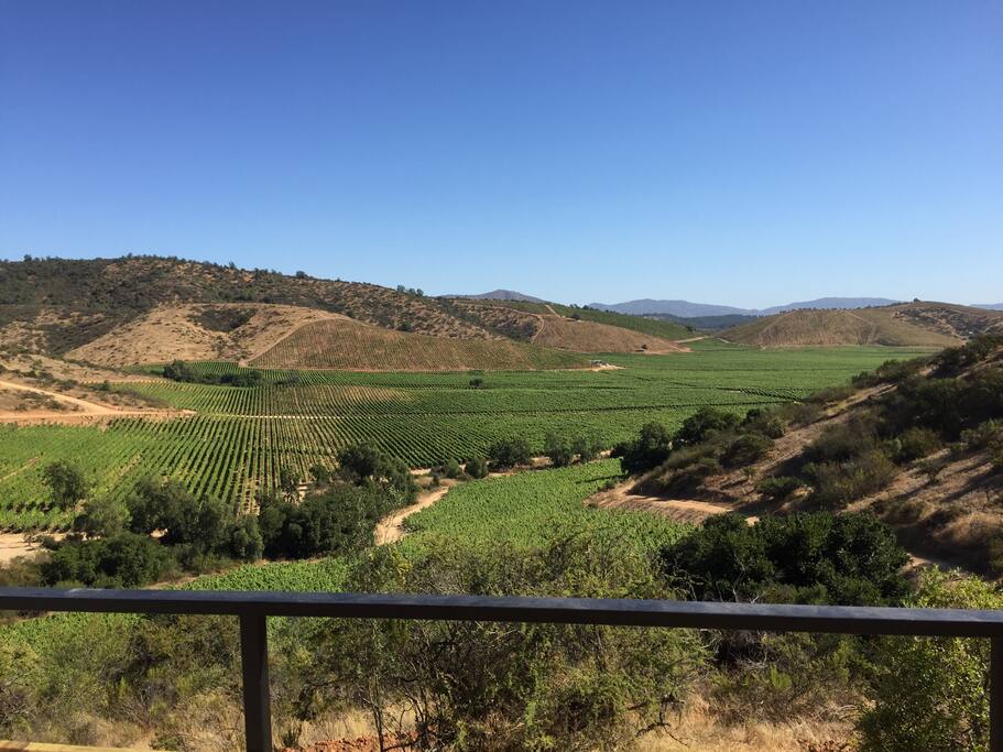 vista desde la terraza.