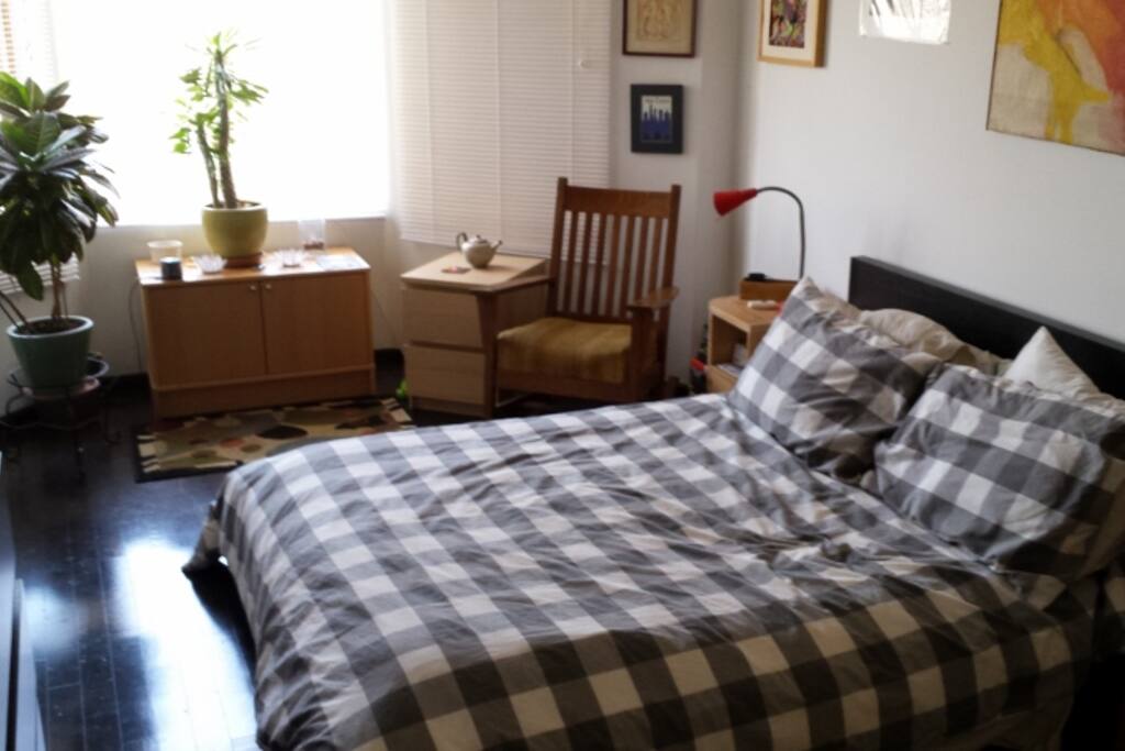 BEDROOM (north light)