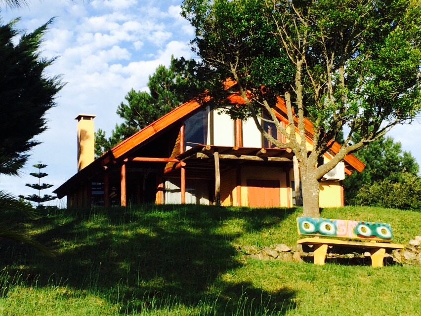 A rustic cabin is nestled amidst greenery, featuring a sloping roof and large windows that provide natural light. A wooden bench is situated on the grass in front of the cabin, while trees and shrubs enhance the tranquil surroundings.